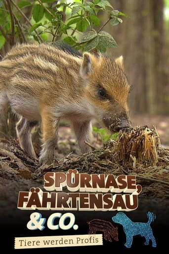 Poster of Spürnase, Fährtensau & Co.