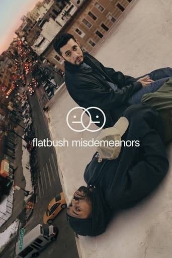 Portrait for Flatbush Misdemeanors - Season 1