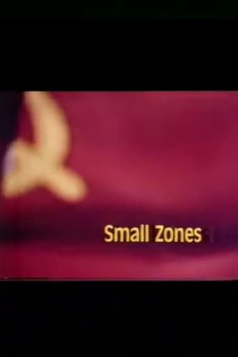 Poster of Small Zones