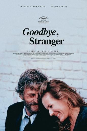 Poster of Goodbye Stranger