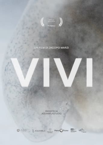 Poster of VIVI