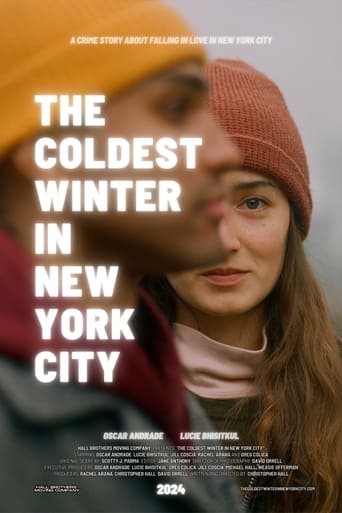 Poster of The Coldest Winter in New York City