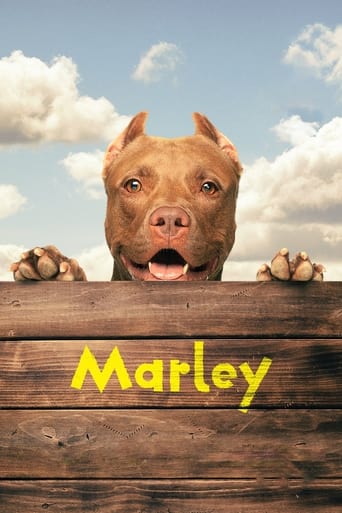 Poster of Marley