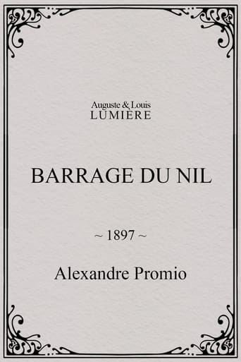 Poster of Barrage du Nil