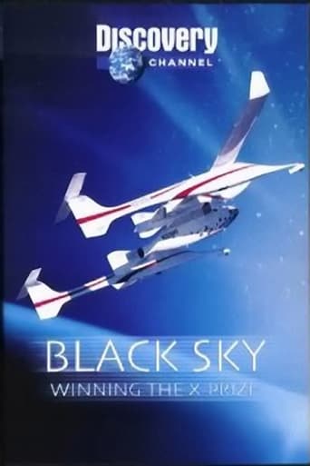 Poster of Black Sky