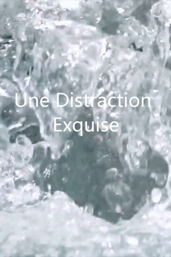 Poster of Une distraction exquise