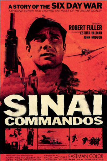 Poster of Sinai Commados