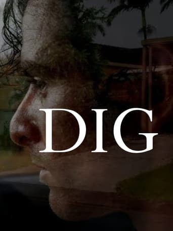 Poster of DIG