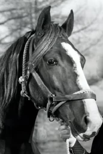 Portrait of Champion Jr.