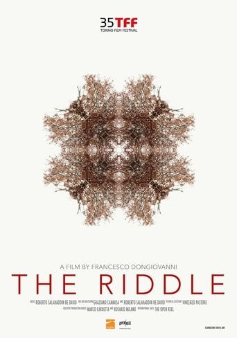 Poster of The Riddle