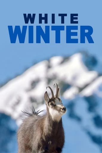 Poster of White Winter