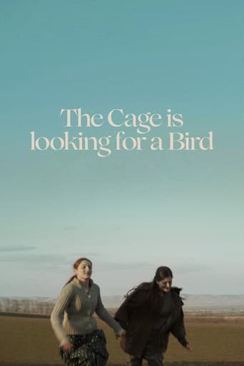 Poster of The Cage is Looking for a Bird