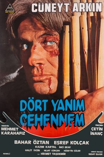 Poster of Dört Yanım Cehennem