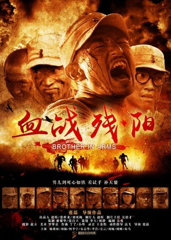 Poster of 血战残阳