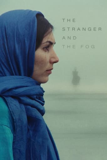 Poster of The Stranger and the Fog