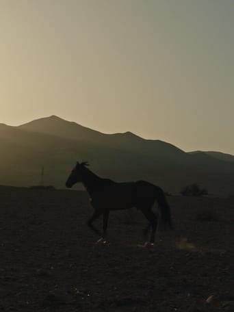 Poster of Why Did You Leave the Horse Alone?