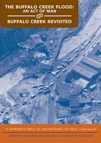 Poster of The Buffalo Creek Flood: An Act of Man