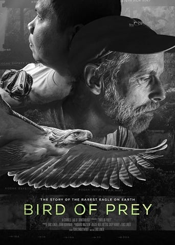 Poster of Bird of Prey