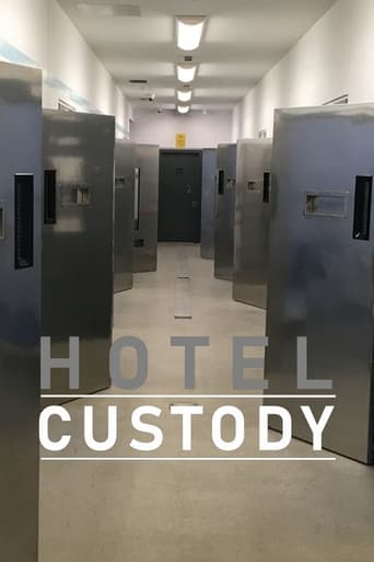 Poster of Hotel Custody