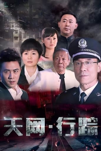 Poster of 天网行踪