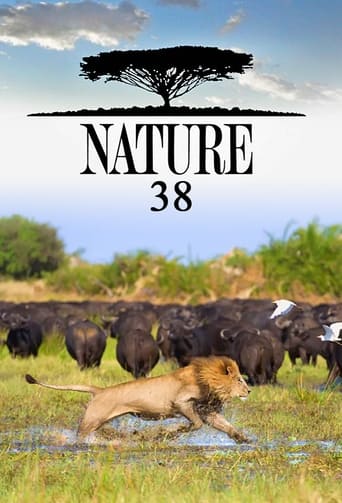 Portrait for Nature - Season 38