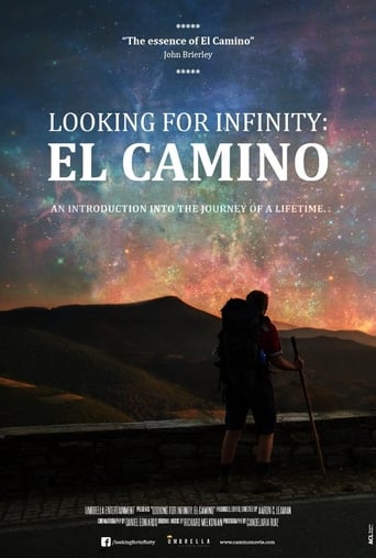 Poster of Looking for Infinity: El Camino