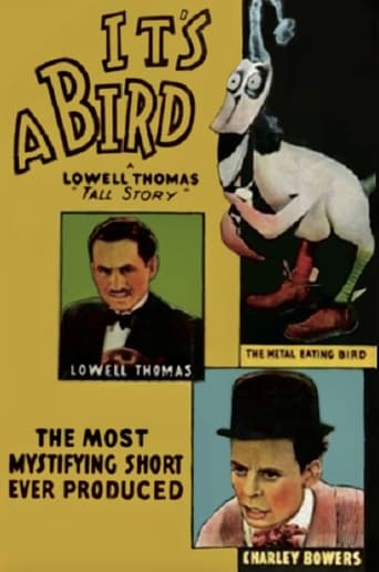 Poster of It's a Bird