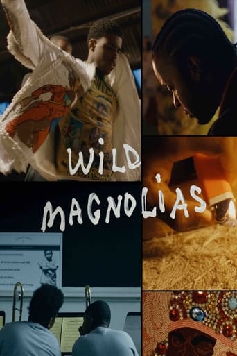 Poster of Wild Magnolias