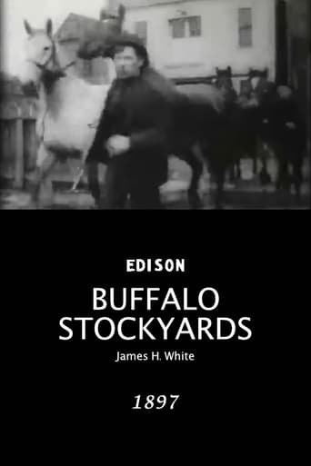 Poster of Buffalo Stockyards