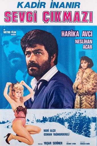 Poster of Sevgi Çıkmazı