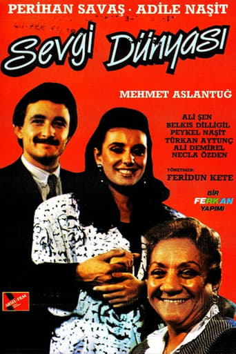 Poster of Sevgi Dünyası