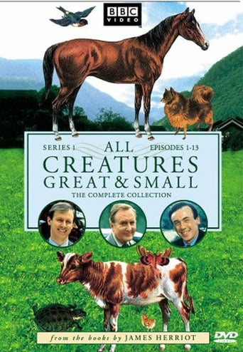 Portrait for All Creatures Great and Small - Season 1