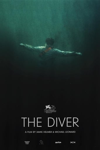 Poster of The Diver