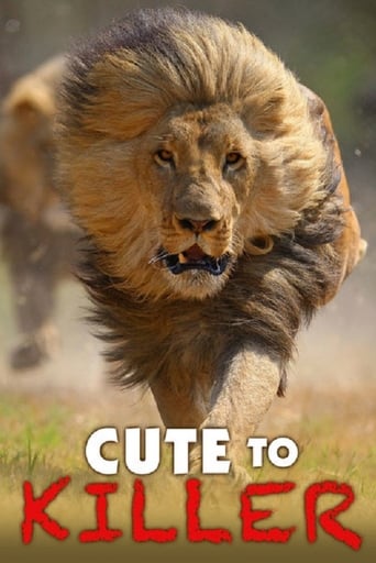 Poster of Cute to Killer