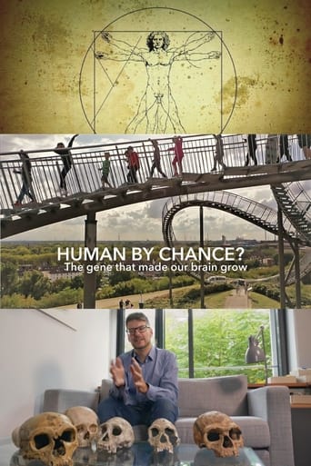 Poster of Human By Chance?