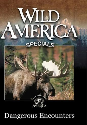 Poster of Wild America - Dangerous Encounters