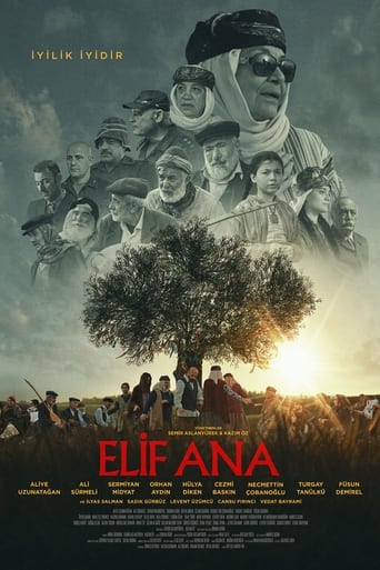 Poster of Mother Elif