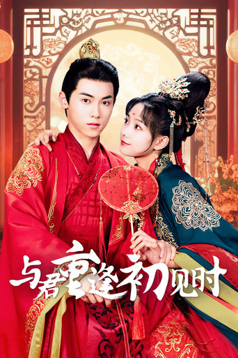 Poster of 与君重逢初见时