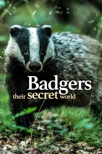 Portrait for Badgers: Their Secret World - Miniseries