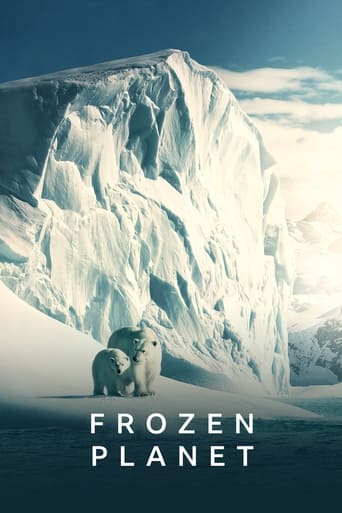 Poster of Frozen Planet