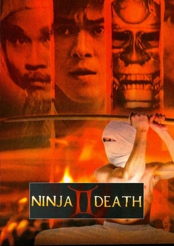 Poster of Ninja Death 2