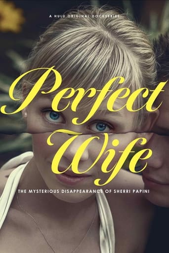 Poster of Perfect Wife: The Mysterious Disappearance of Sherri Papini