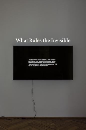 Poster of What Rules the Invisible