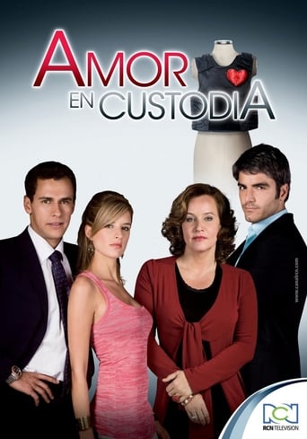 Poster of Amor en custodia