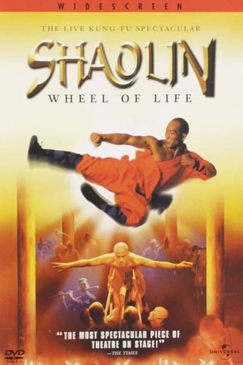 Poster of Shaolin: Wheel of Life