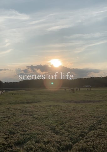 Poster of scenes of life