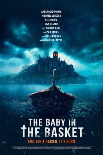 Poster of The Baby in the Basket