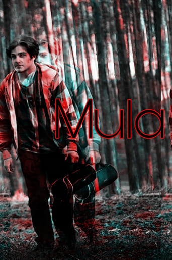 Poster of Mula