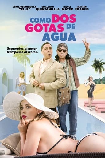 Poster of Como dos gotas de agua