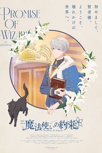 Poster of Promise of Wizard